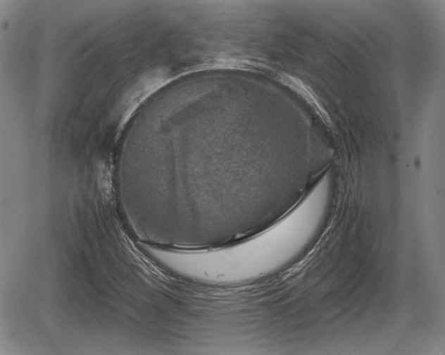 X0000067501260200604101222