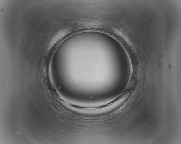 X0000067501261200604101222