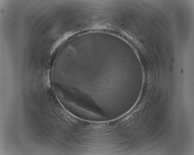 X0000067501262200604101221