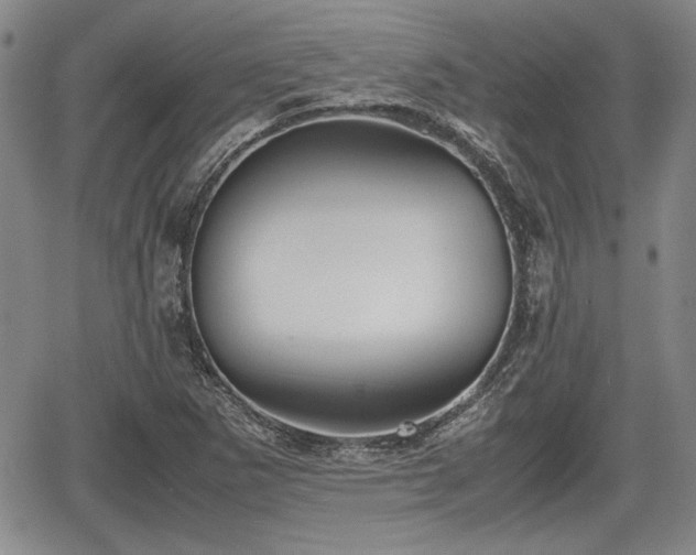 X0000067501265200604101221