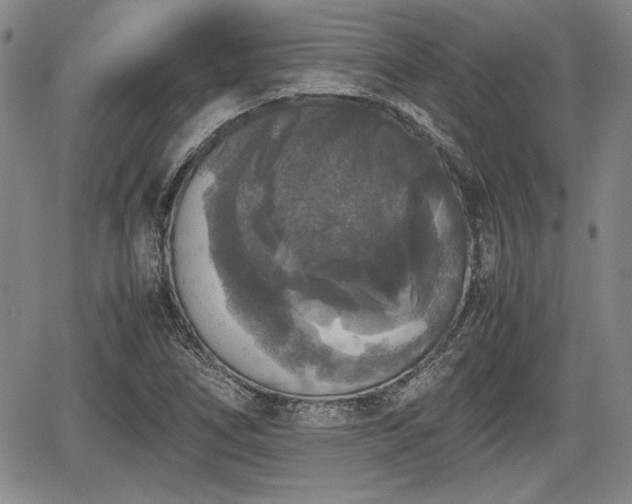 X0000067501266200604101221