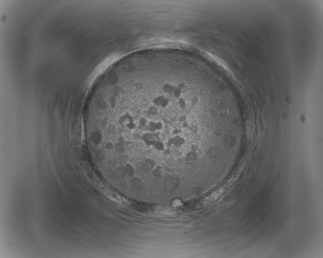 X0000067501267200604101221