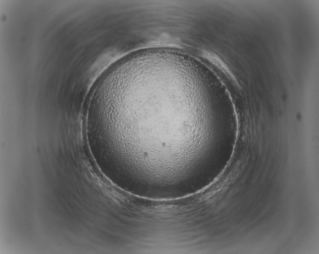 X0000067501268200604101221