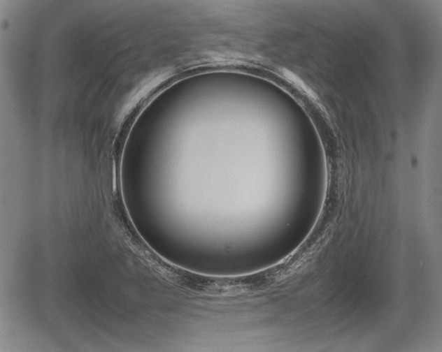 X0000067501269200604101221