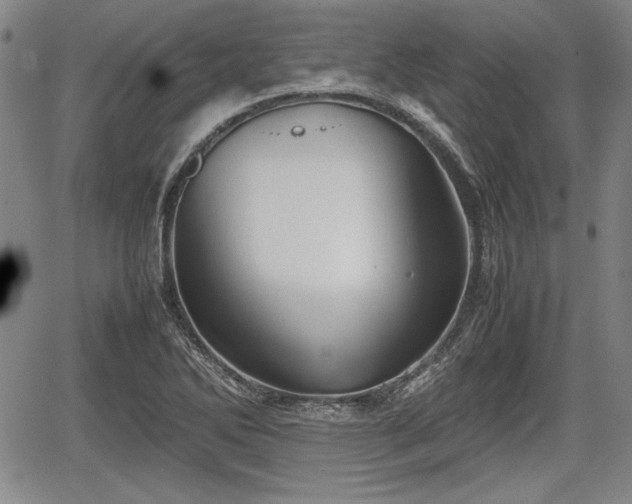 X0000067501270200604101221