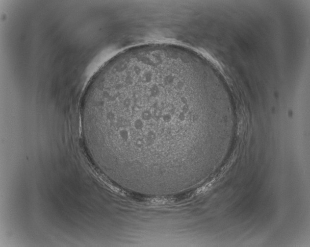 X0000067501271200604101221