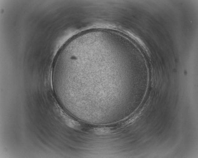 X0000067501272200604101221