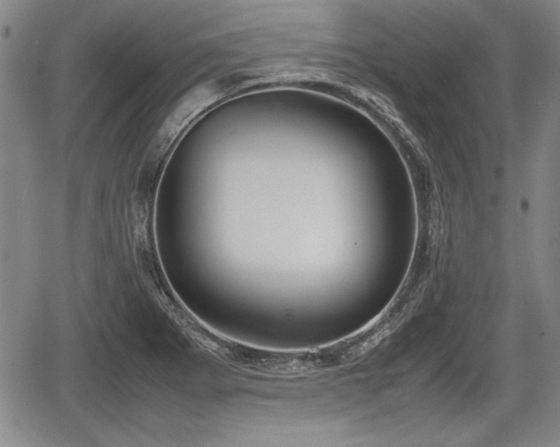 X0000067501273200604101221