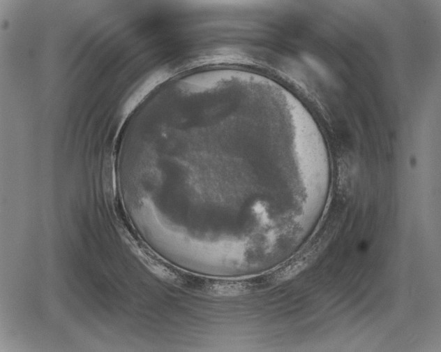 X0000067501274200604101221