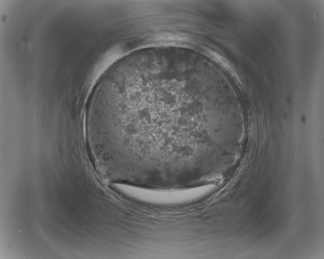 X0000067501275200604101221