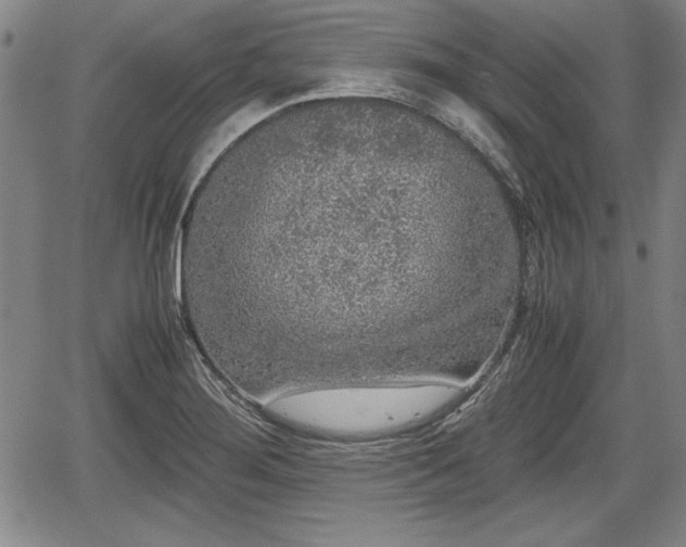 X0000067501276200604101221