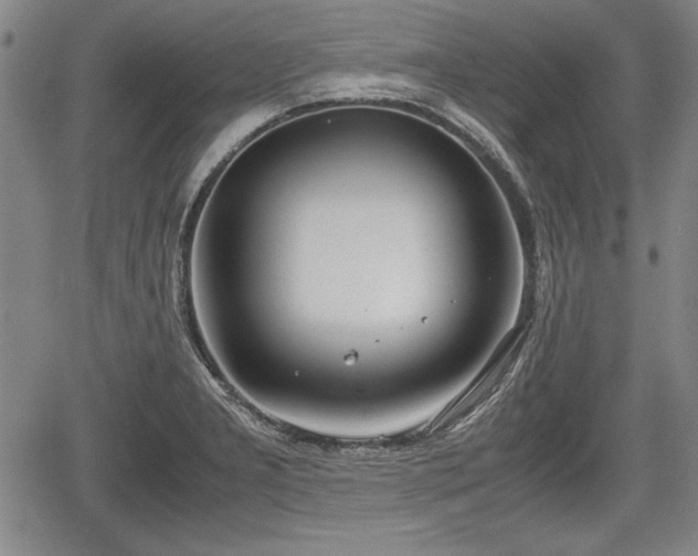 X0000067501277200604101221