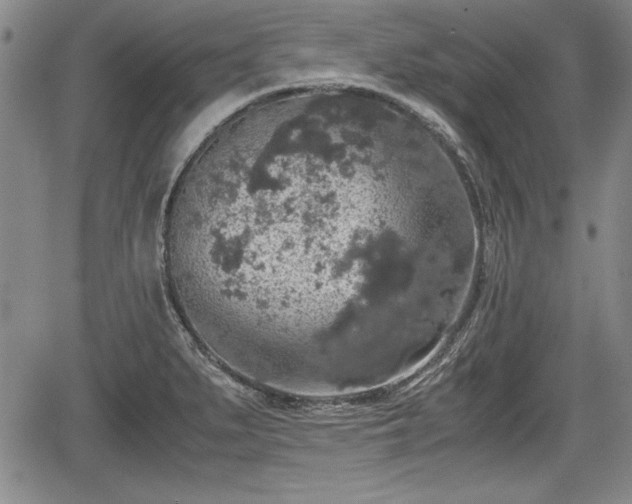 X0000067501279200604101221