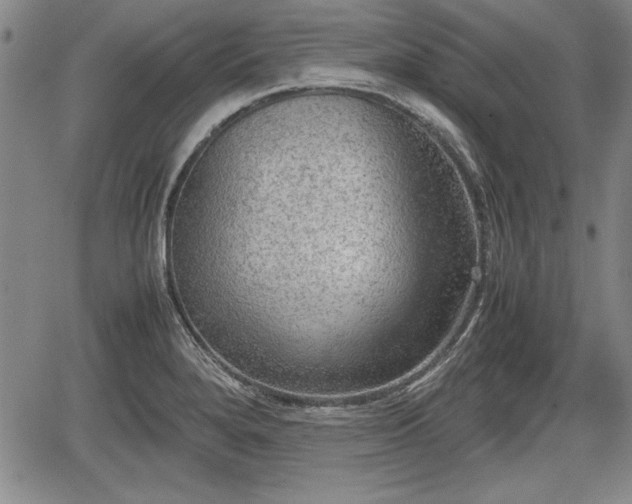 X0000067501280200604101221