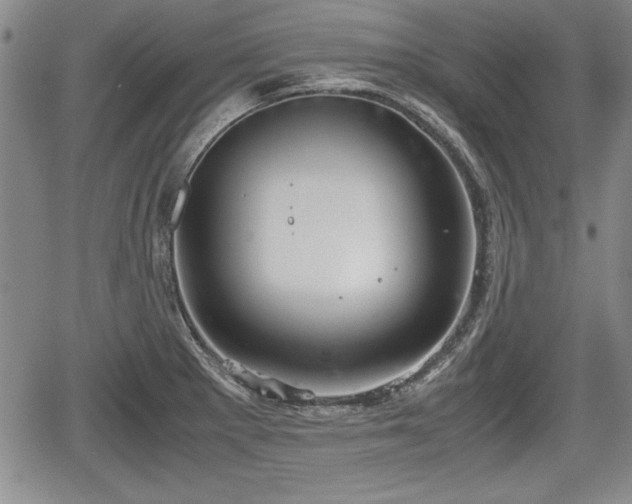 X0000067501281200604101221