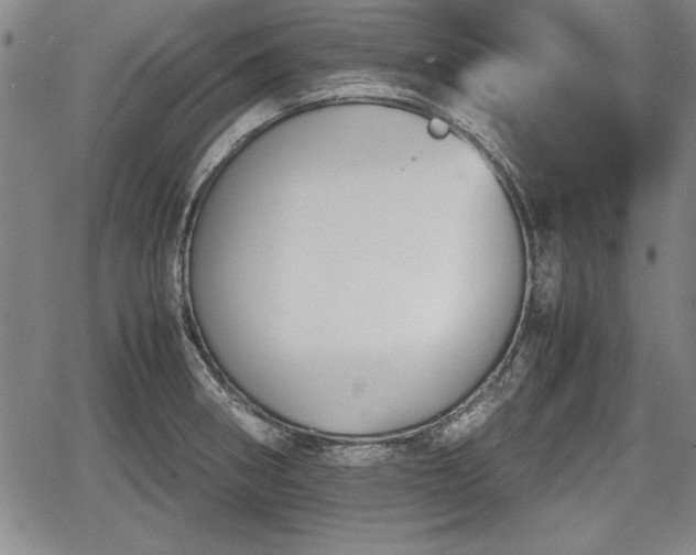 X0000067501282200604101221