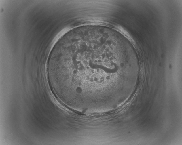 X0000067501283200604101221