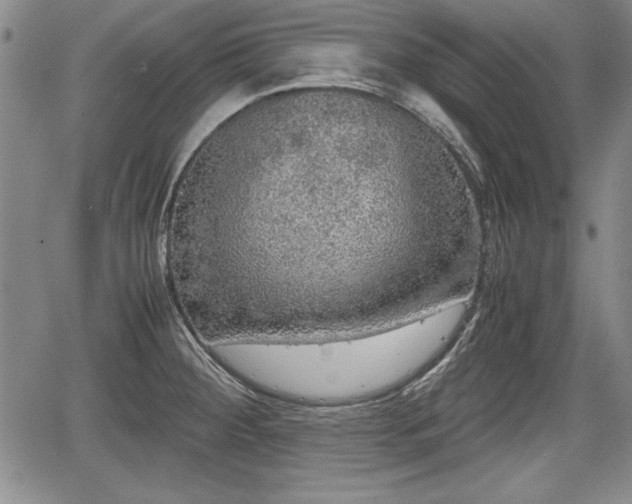 X0000067501284200604101221