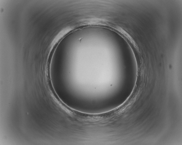 X0000067501285200604101221