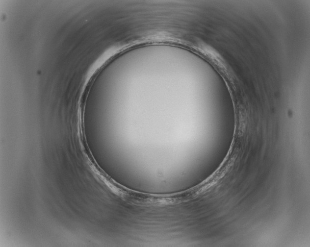 X0000067501286200604101221