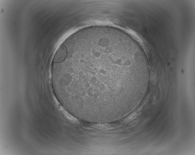 X0000067501287200604101221