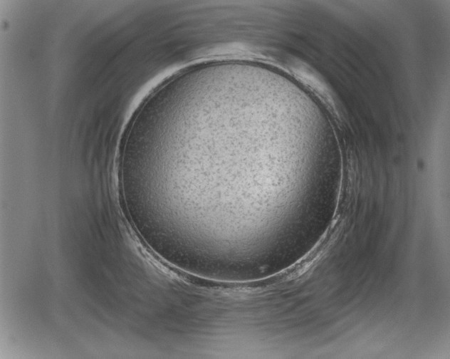 X0000067501288200604101221