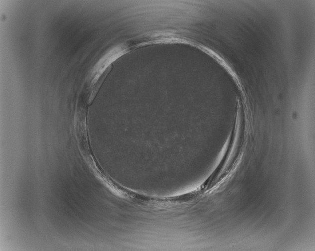 X0000067501289200604101221