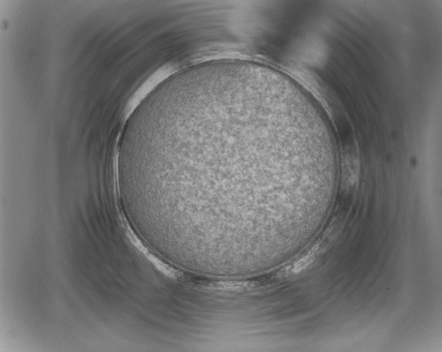 X0000067501290200604101221