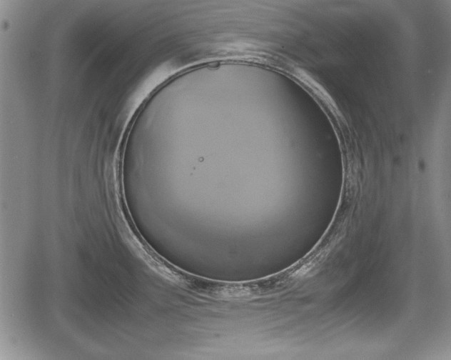 X0000067501291200604101221