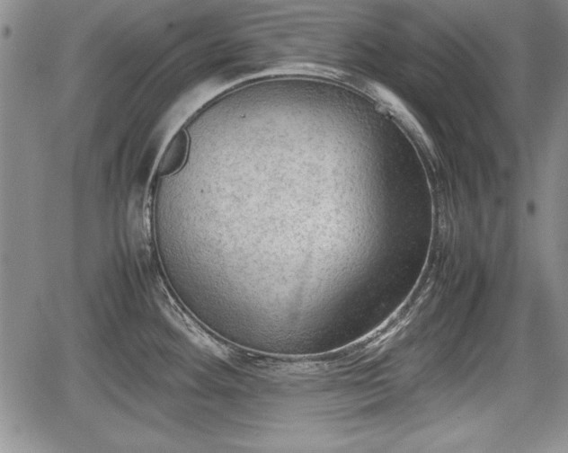 X0000067501292200604101221