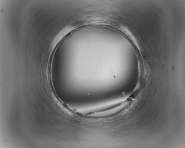 X0000067501293200604101221