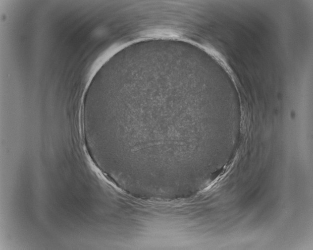 X0000067501295200604101221