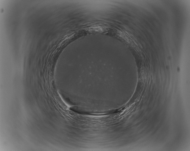 X0000067501297200604101220