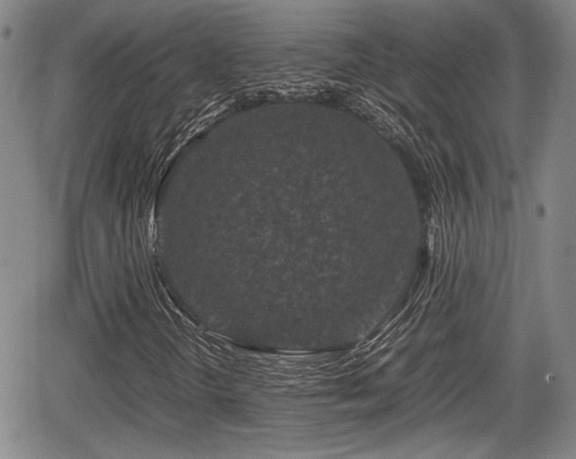 X0000067501298200604101220