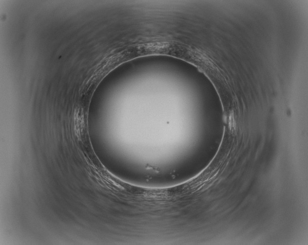 X0000067501299200604101220