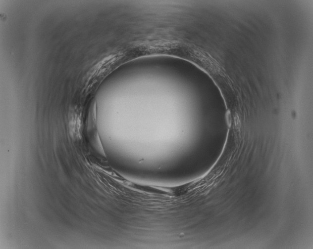 X0000067501300200604101220