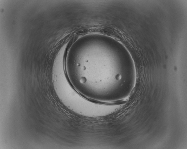 X0000067501301200604101220