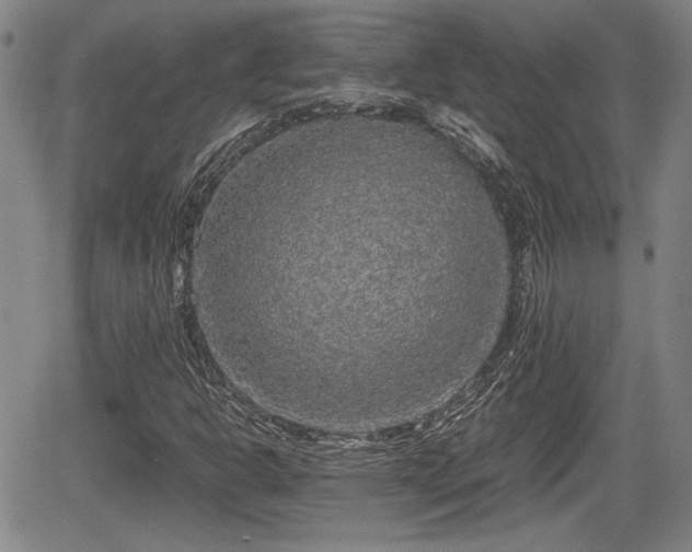 X0000067501302200604101220