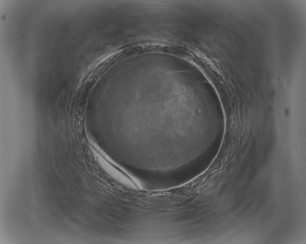 X0000067501303200604101220