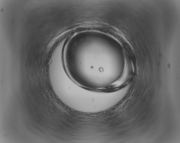 X0000067501304200604101220