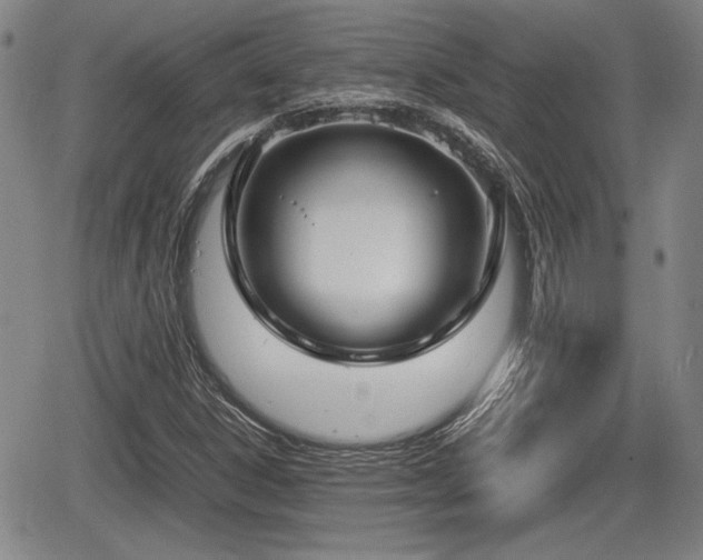 X0000067501306200604101220