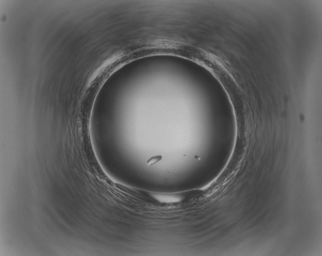 X0000067501307200604101220