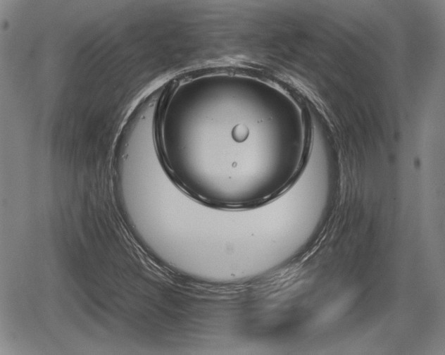 X0000067501308200604101220