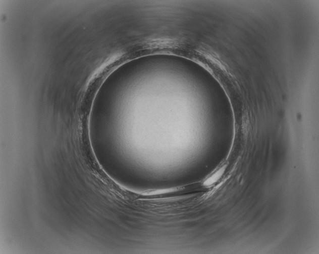 X0000067501309200604101220