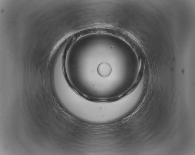 X0000067501310200604101220