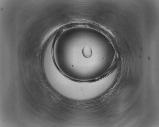 X0000067501311200604101220