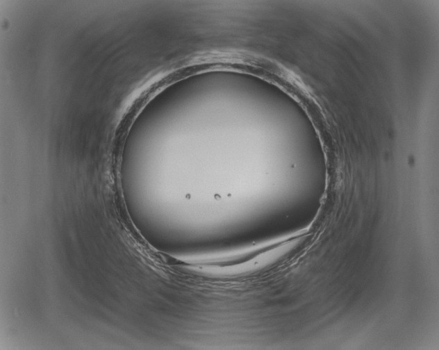 X0000067501312200604101220