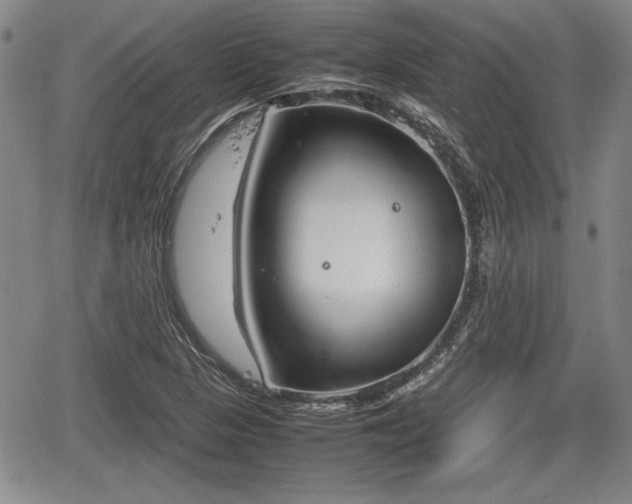 X0000067501313200604101220