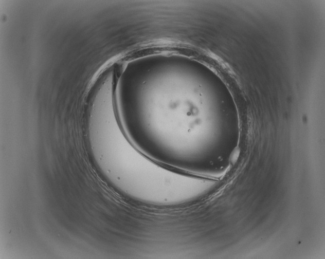 X0000067501314200604101220