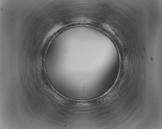 X0000067501315200604101220